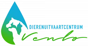 Dierenuitvaartcentrum