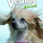 Vedias-BeroepsINFO-2-2017-150x150