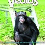 Vedias-BeroepsINFO-4-2017-150x150