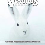 Vedias-BeroepsINFO-4-2018-150x150
