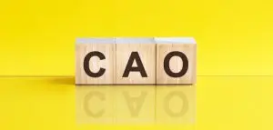 cao shutterstock 1960157599 1